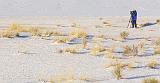 White Sands_31893